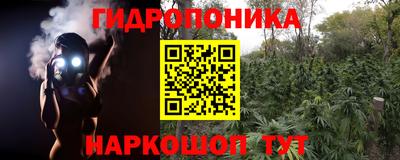 прущие крисы Бузулук